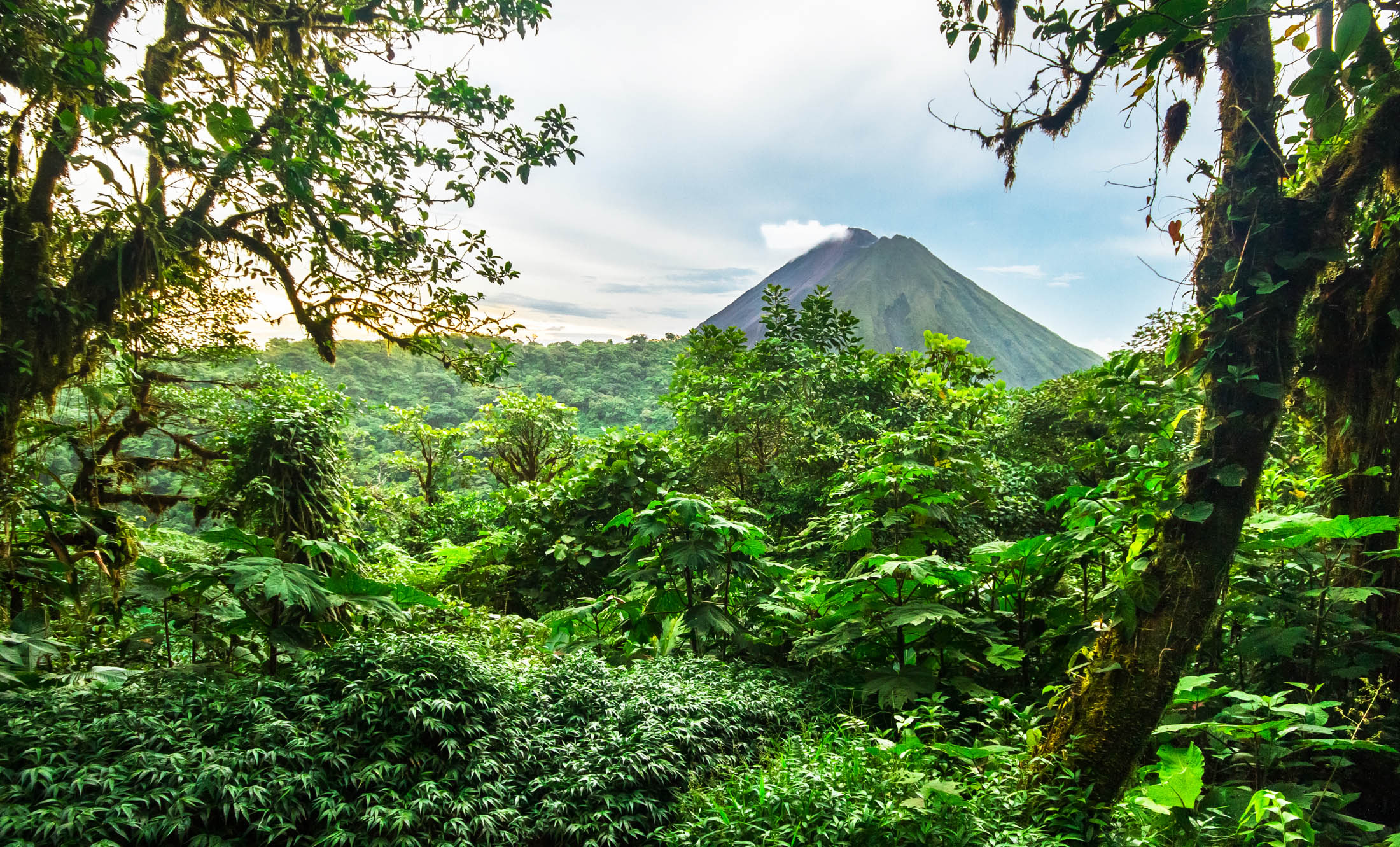 Volcan Arenal rises out of the jungle and dominates the landscape near the town of La Fortuna, Costa Rica.
