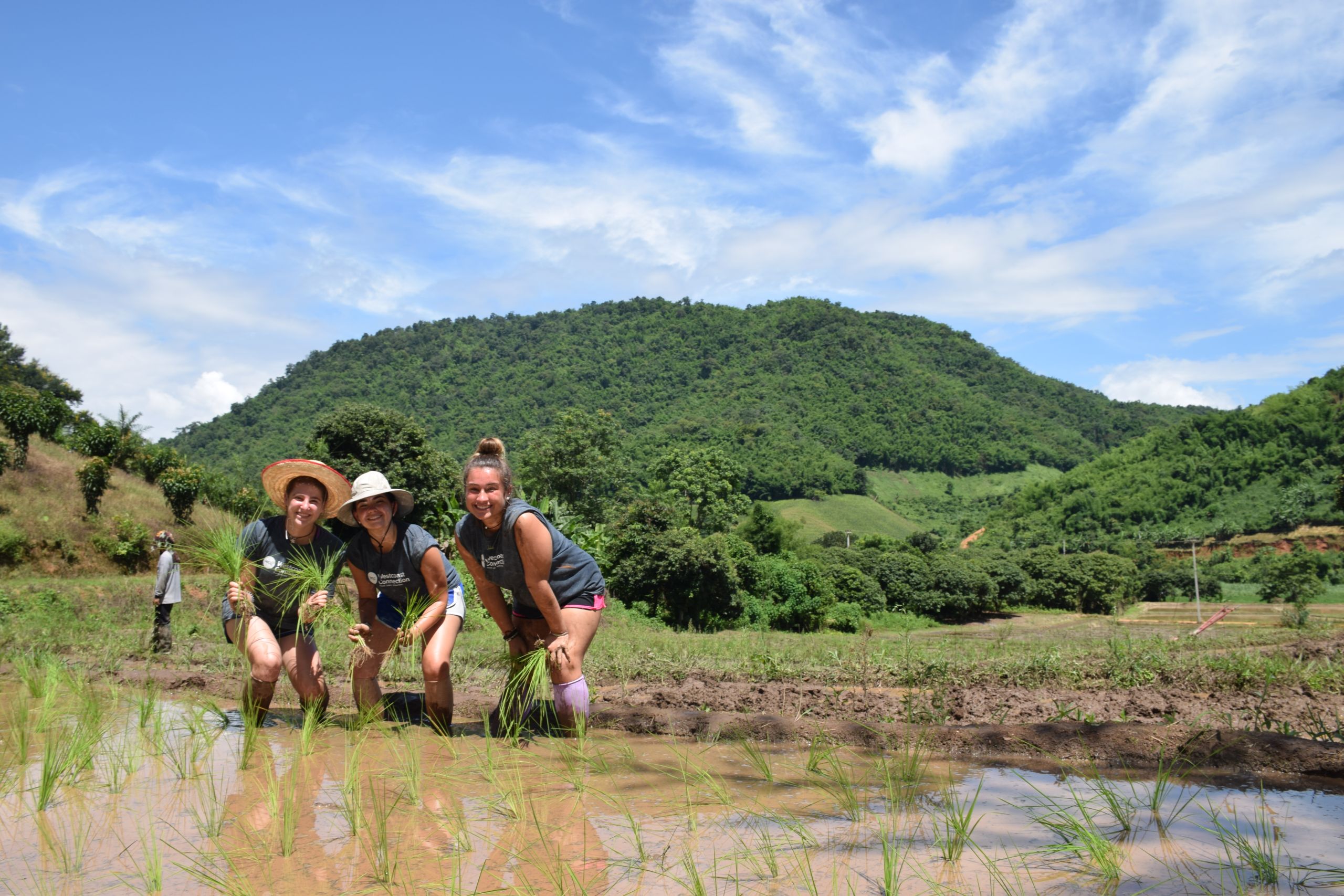 Painting a Colorful Future - Community Service Thailand 1