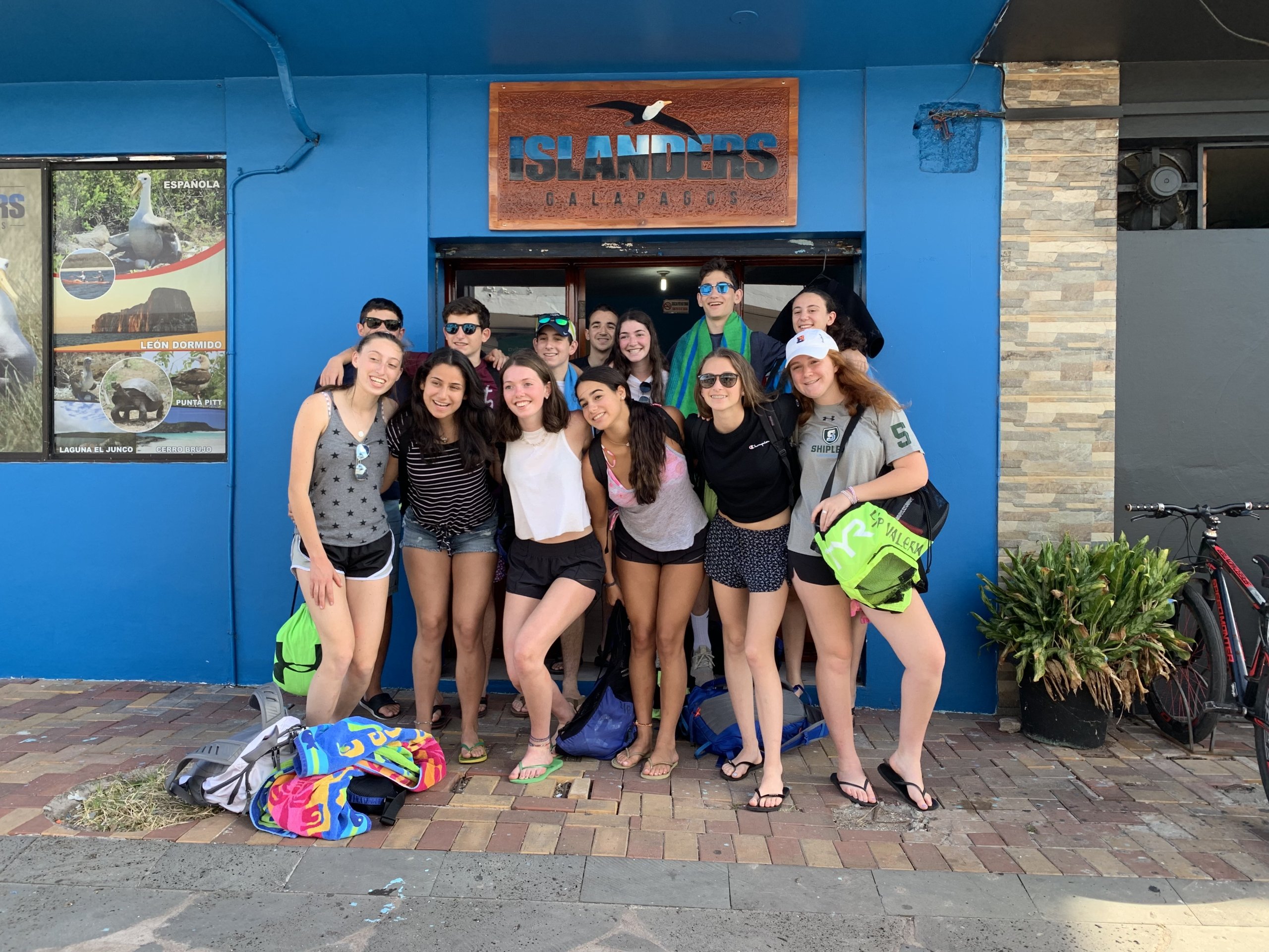 Sun, Sea and Tortoises 1