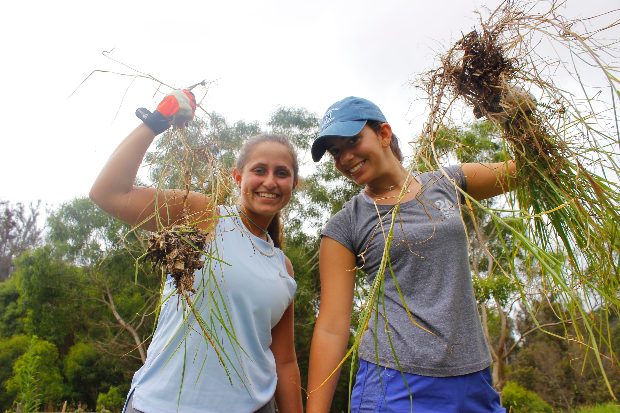 Maui’s Delicate Balance - Hawaii Community Service 1