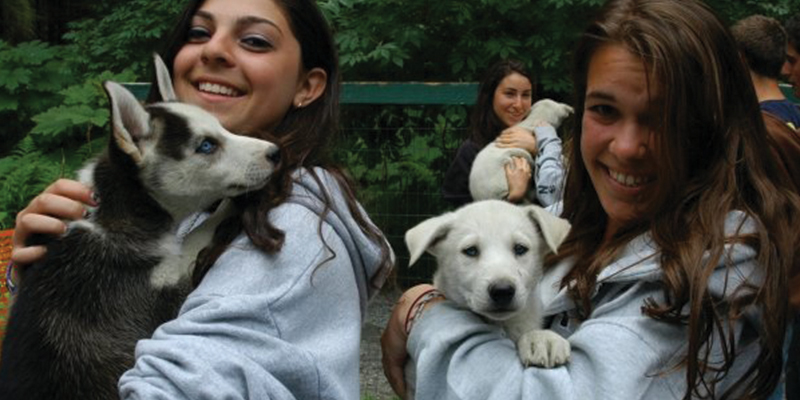 Puppies1