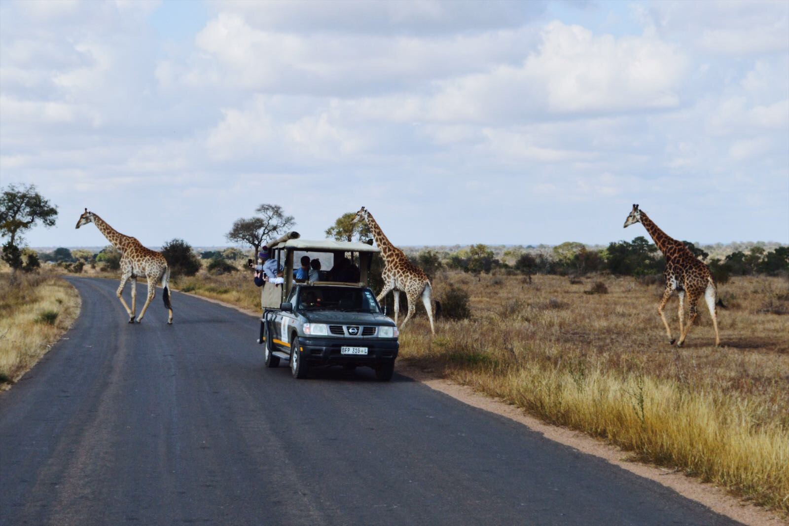 south africa community service blog 2 photo 1