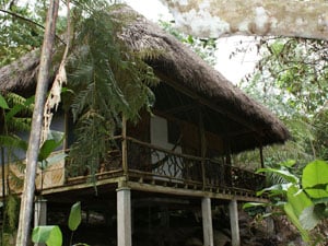 Amazon Jungle - Ecuador & the Galapagos Community Service