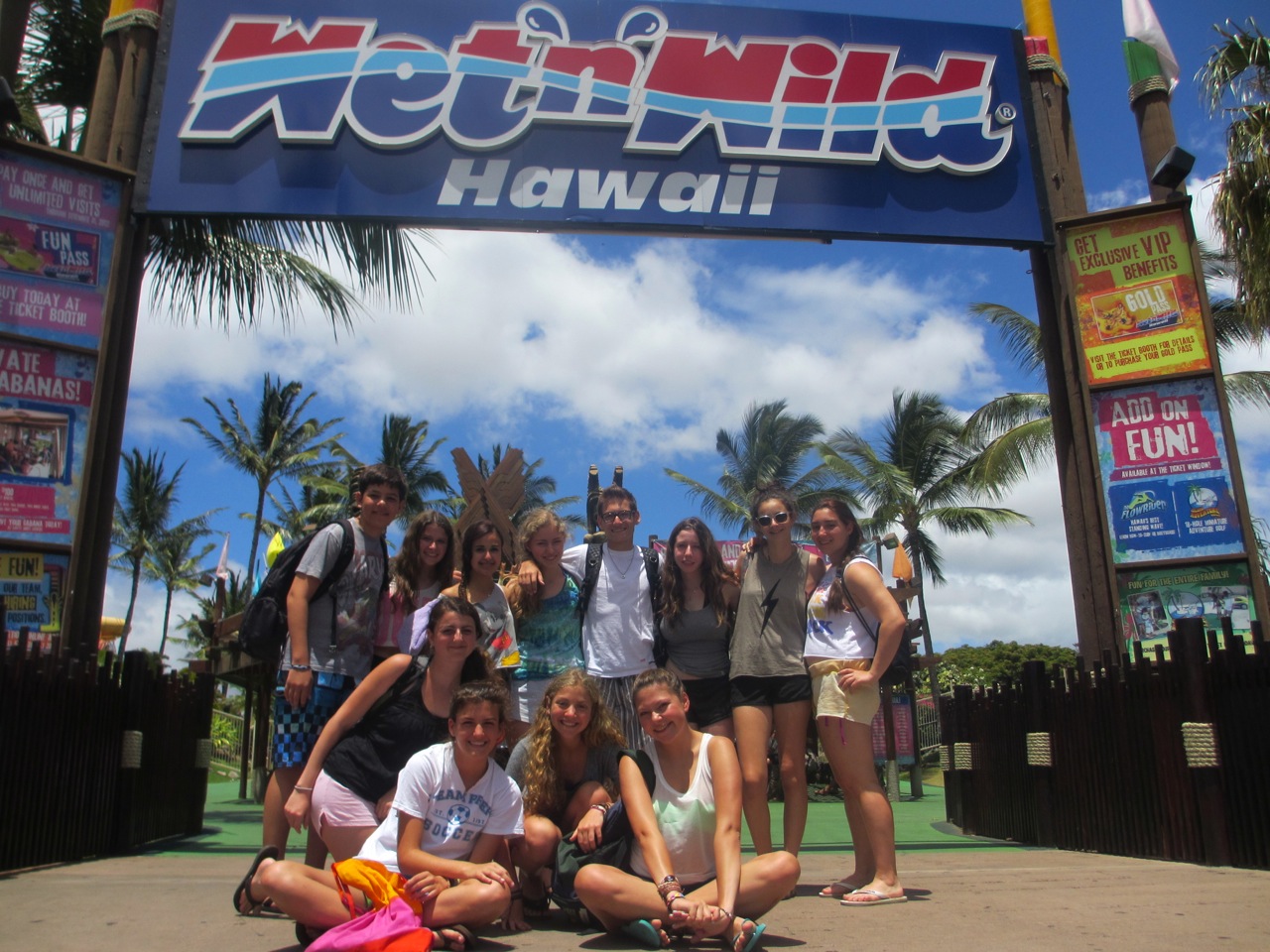 Hula Dogs, Sea Turtles, and...Clint Eastwood?! - Hawaii Community Service