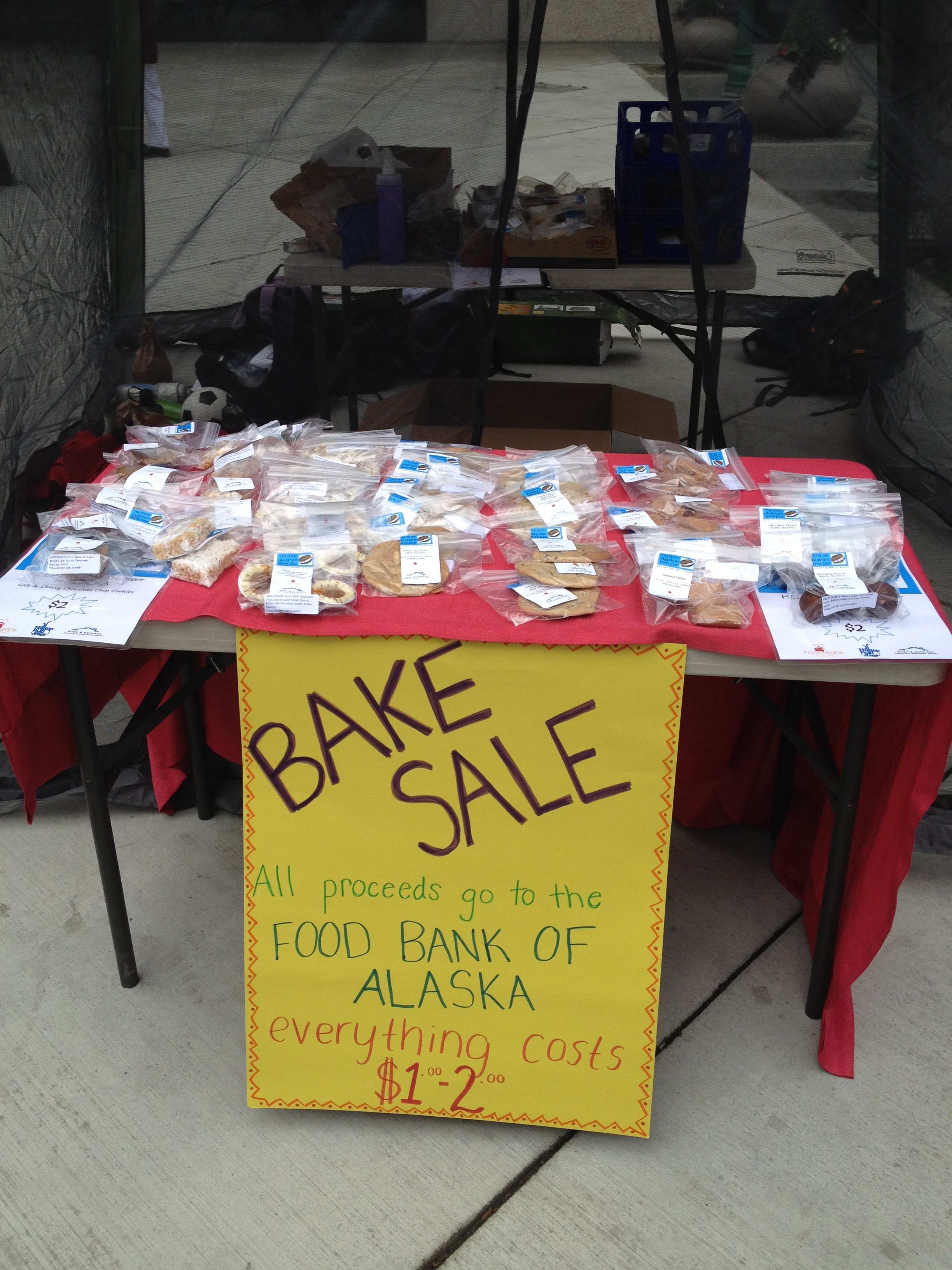 From Baking to Gold Mining-Community Service Alaska