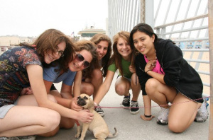 Making New Friends on the Boardwalk