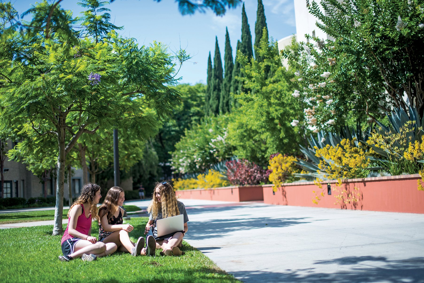 Pre-College Enrichment Los Angeles on the campus of UCLA - 14 days 3