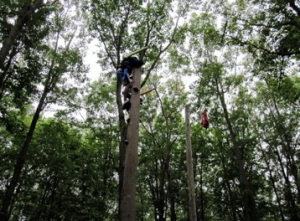 It's A Bird, It's a Plane, It's WCC Campers!