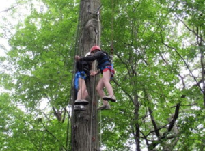 We're Not Afraid of Heights!