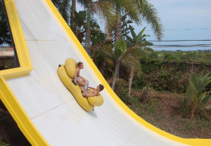 That Looks Fun