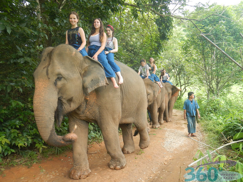 Elephant Rides in Thailand!