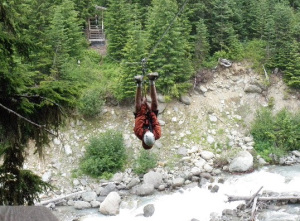 Hanging Around