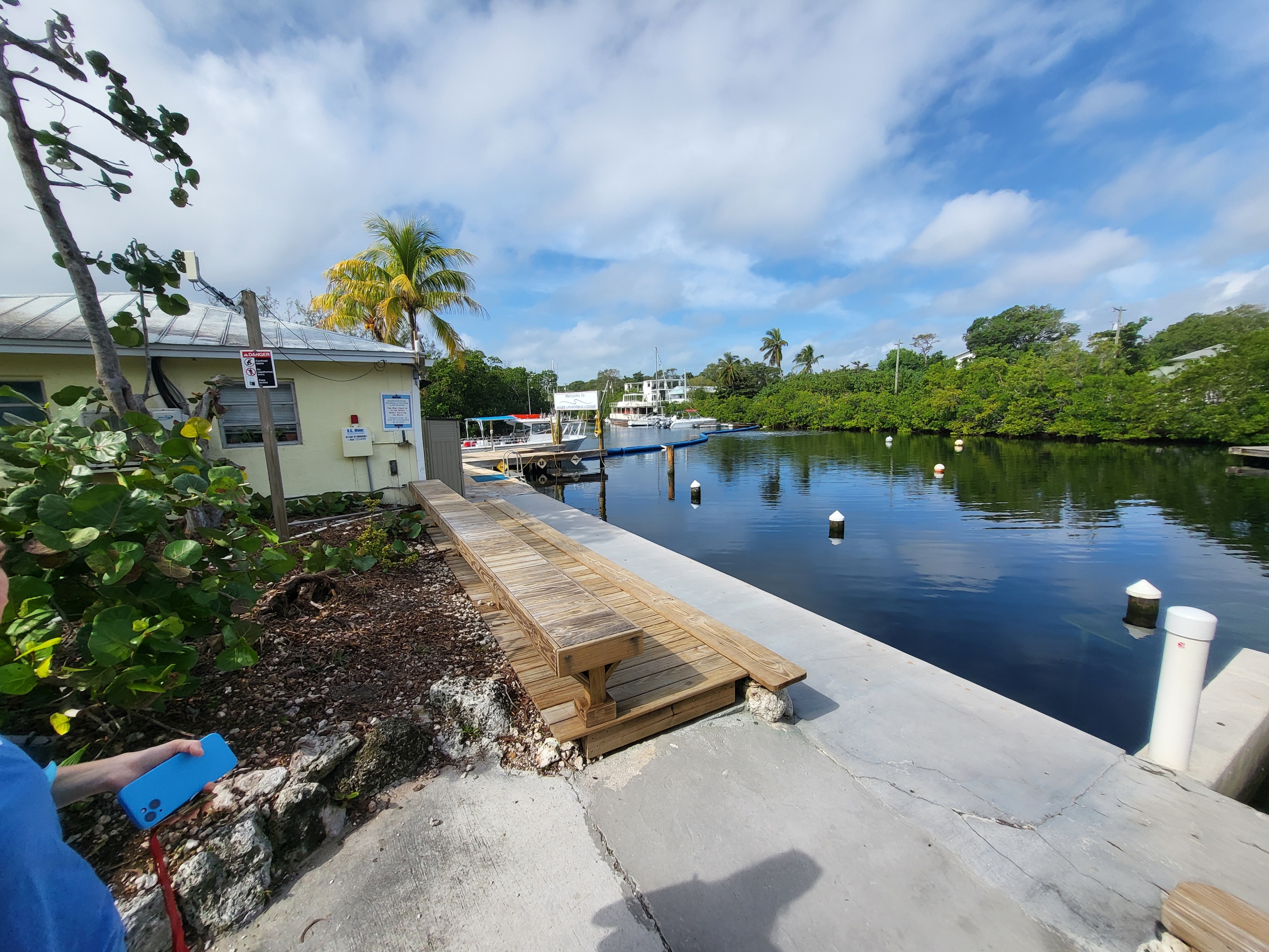 Dolphins Plus: Marine Mammal Responder - Florida Keys 18 days 2