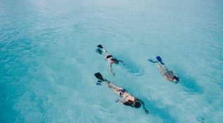 Florida Keys: Marine & Wildlife Conservation - 18 days