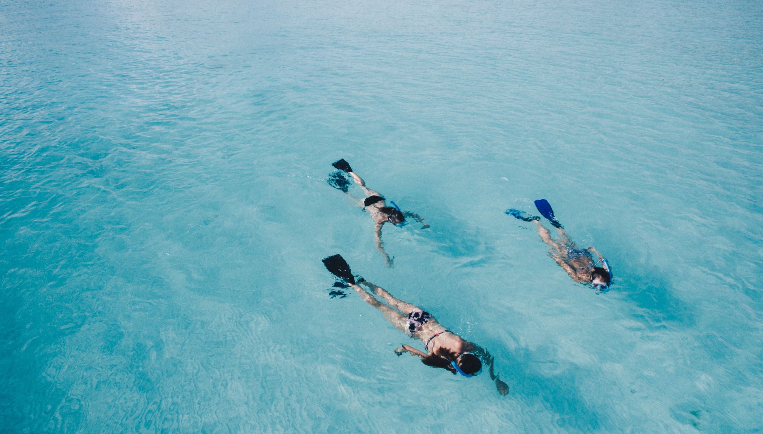 Florida Keys: Marine & Wildlife Conservation - 18 days