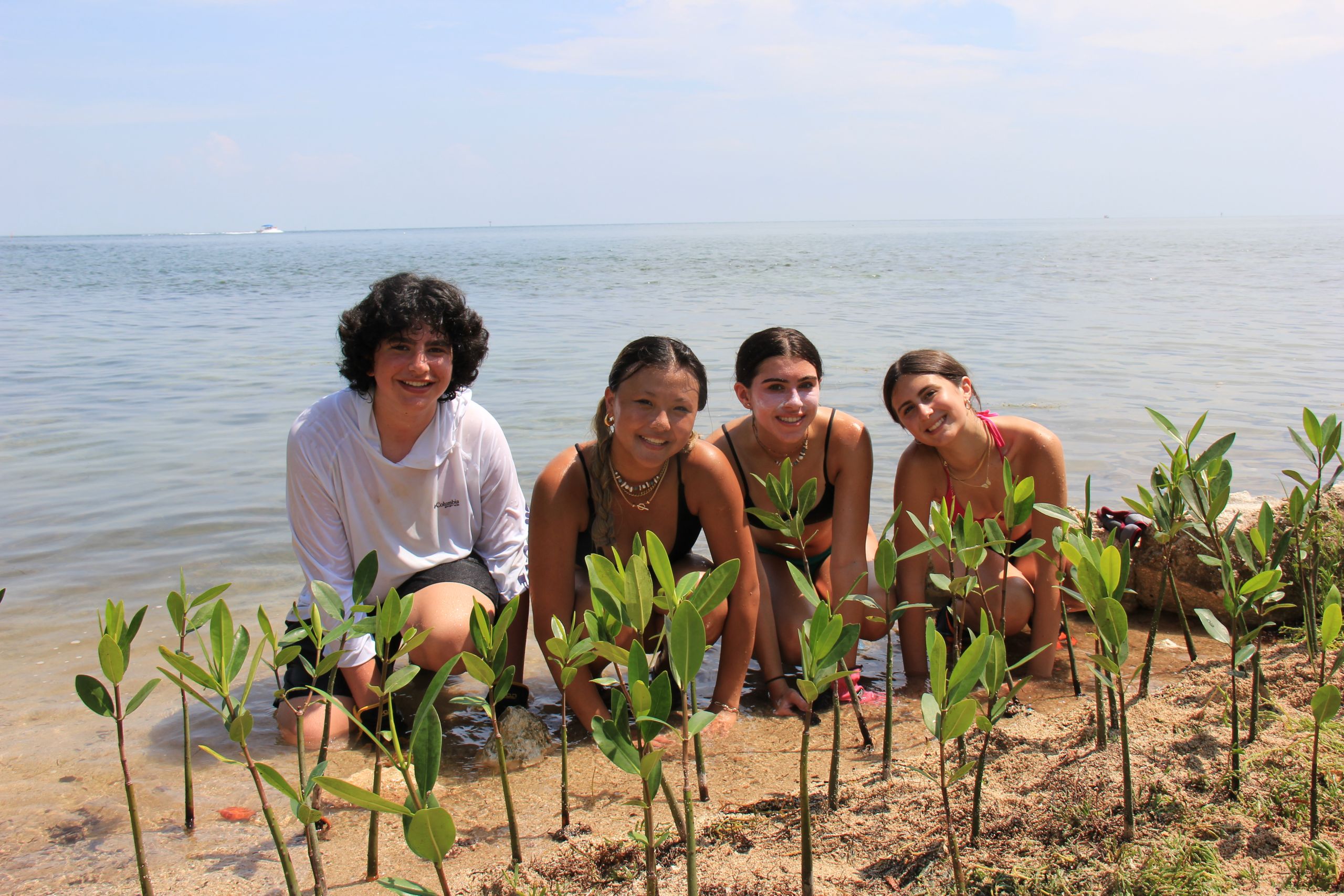 Florida Keys: Marine & Wildlife Conservation - 18 days 15