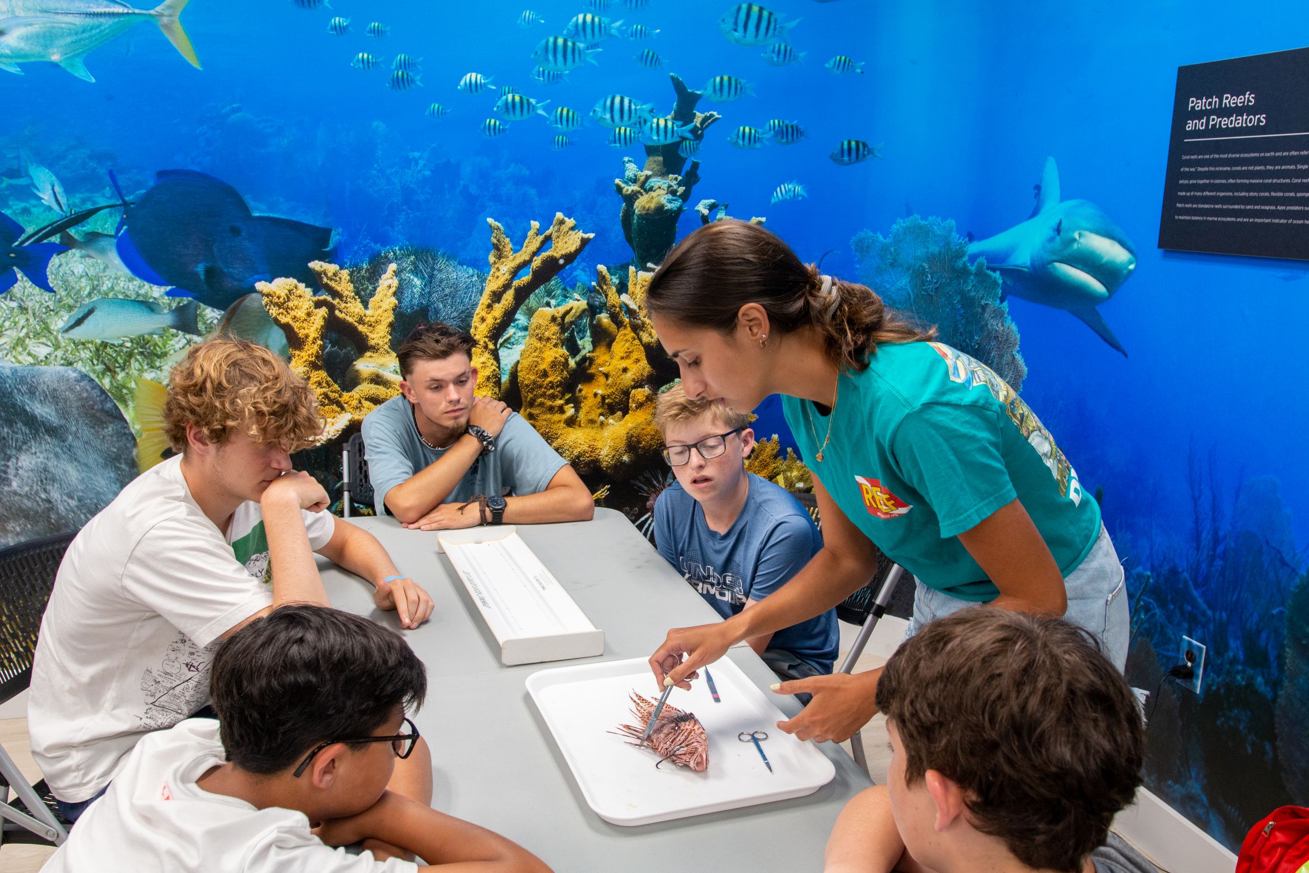 Reef Environmental Education Foundation - Florida Keys 18 days