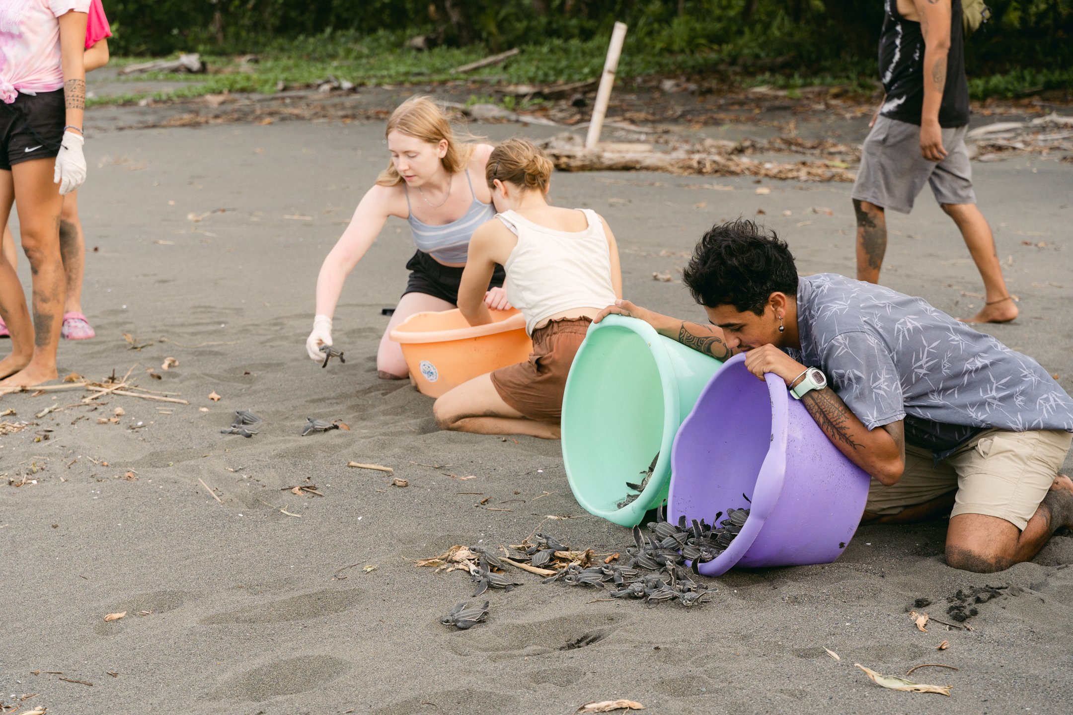 Costa Rica: Sea Turtle Conservation -14 days 6