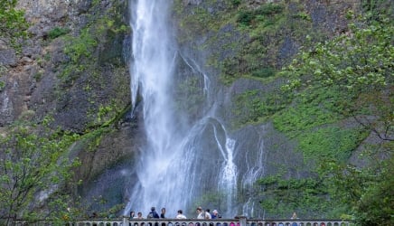 Health & Immunizations