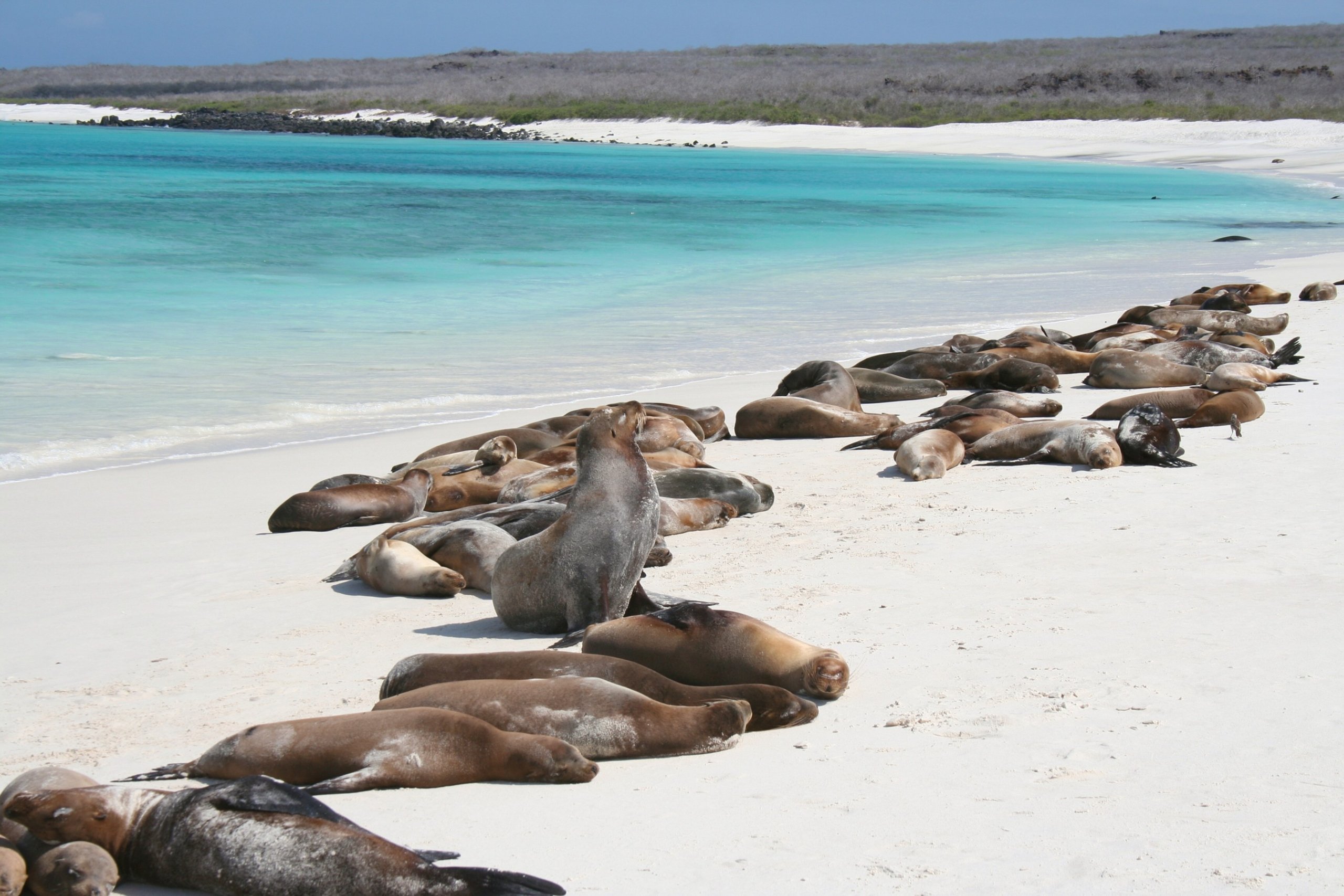 Ecuador & the Galapagos Adventure - 14 days 3