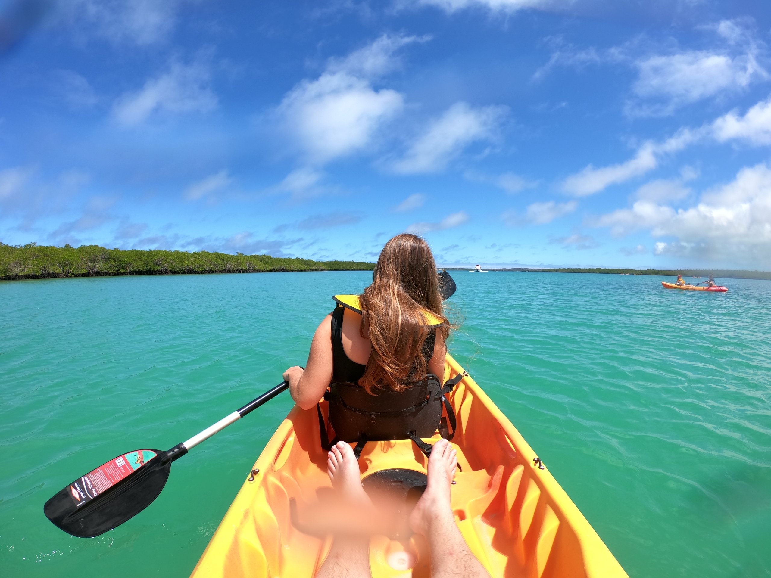 Ecuador & the Galapagos Adventure - 14 days 8