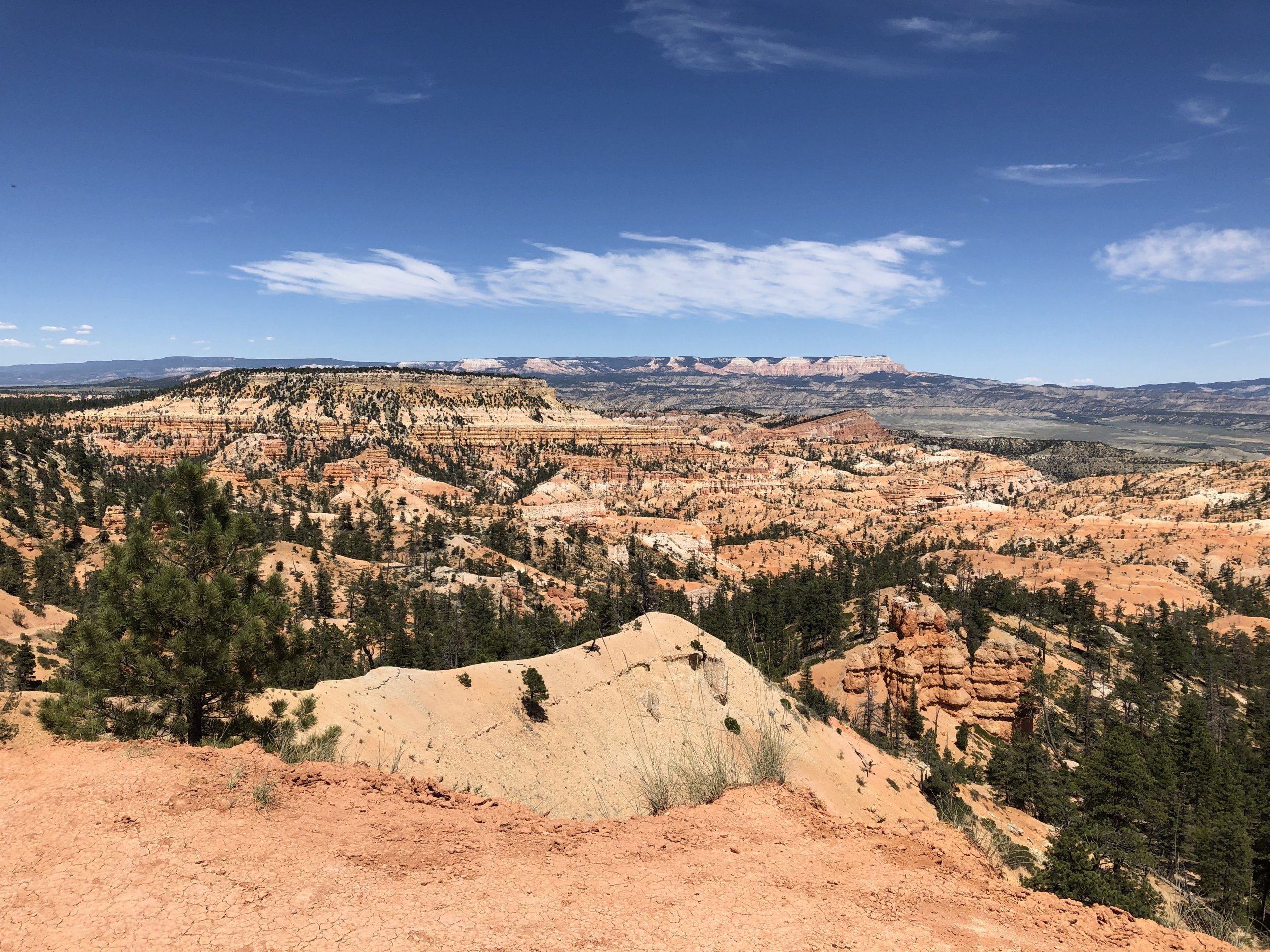 US Explorer - 40 days 32