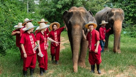 From Repeat Travelers