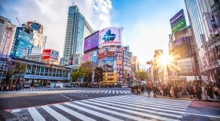 View Shibuya Crossing at sunset Tokyo, Japan