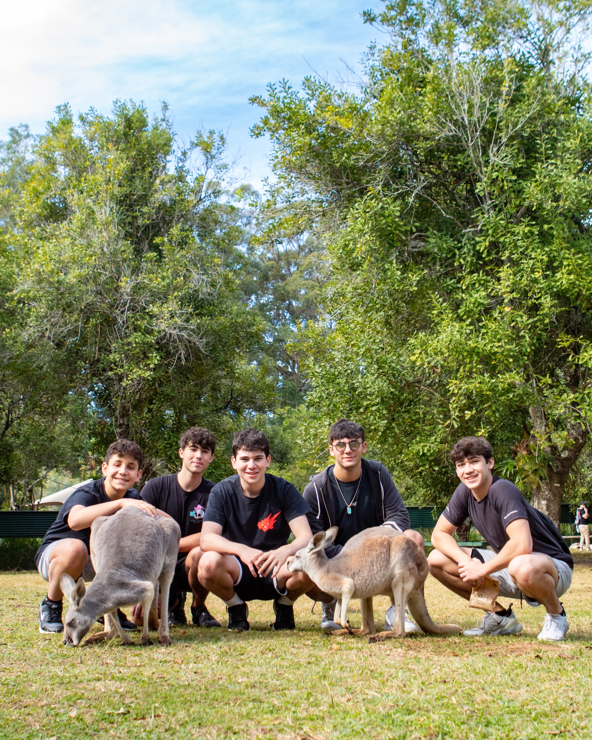 Group of young people kneeling on grass in a park with several dogs at their feet, trees and blue sky in the background