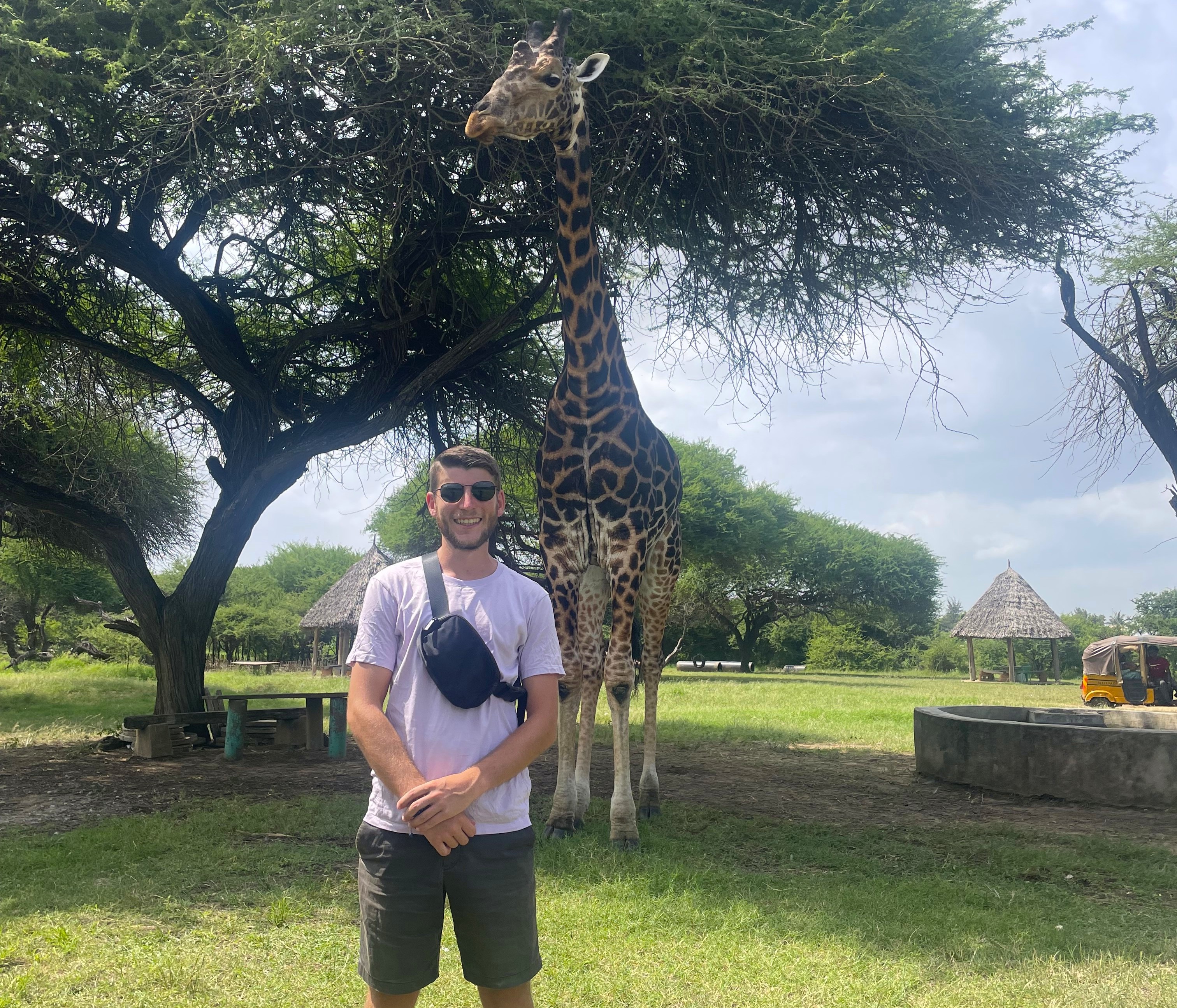 Lee Aronovitch - Bio