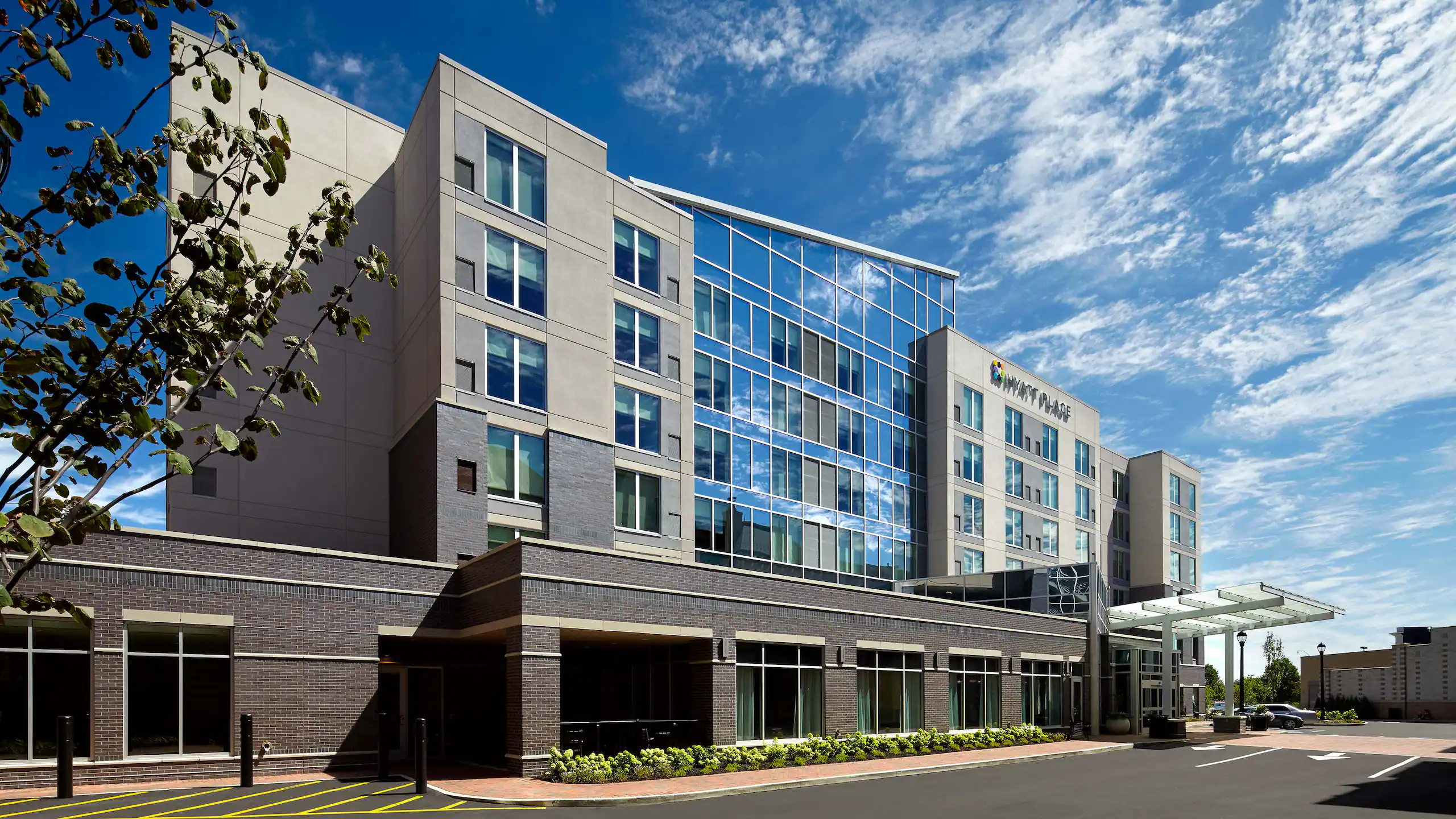 Modern office building with glass wall facade and blue sky, with a tree branch in the foreground.